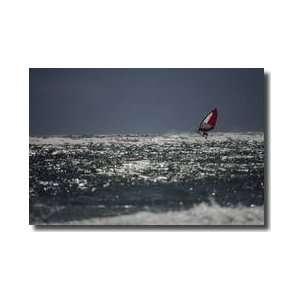  Windsurfer Outer Banks North Carolina Giclee Print