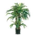 Allstate Floral 4 Phoenix Palm Tree in Round Pot Green (Pack of 2)