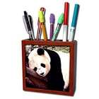 3dRose LLC Wild animals   Panda Bear   Tile Pen Holders