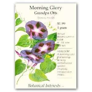  Morning Glory Grandpa Otts Seed Patio, Lawn & Garden