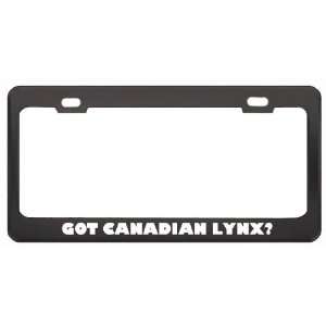 Got Canadian Lynx? Animals Pets Black Metal License Plate Frame Holder 