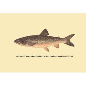  The Great Lake Trout 12x18 Giclee on canvas