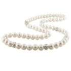   White Cultured Freshwater Pearl Silver and Crystal Roundels Necklace