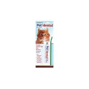   Cat Dental Starter Kit W Flour .3 Ounces   41035
