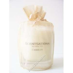 Scentsational White Tea Scented Soy Candle 