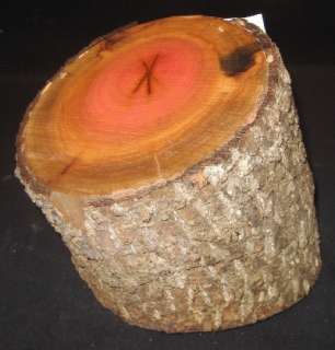 EXOTIC PINK IVORY Wood Turning Log Blank Lathe 6 1/4 x 5 7 3/4 