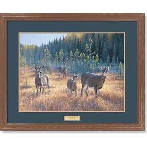 Jim Kasper   Bog Trek   Whitetail Deer Framed 
