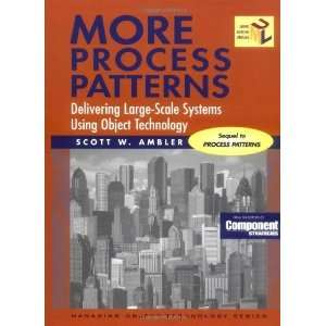  More Process Patterns Delivering Large Scale Systems 