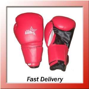  marital arts kick boxing gloves sparing MMA training punch 
