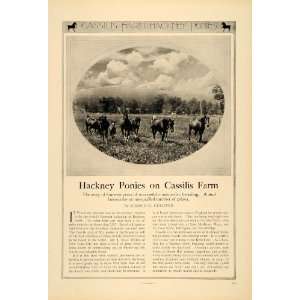  1926 Ad Hackney Ponies Cassilis Farm Harold Gulliver 