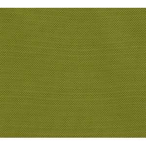  1702 Kona in Lime by Pindler Fabric Arts, Crafts & Sewing