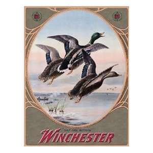  Winchester Guns Duck Hunting tin sign #937 Everything 