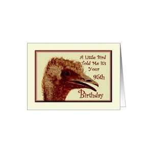  Birthday / 95th / Ostrich /Humorous Card Toys & Games