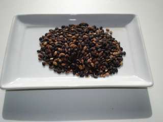 Passion Flower seeds; Passiflora Incarnata; 100 seeds  
