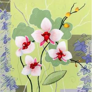  Orchids in Bloom III by Adrianna 12 X 12 Poster