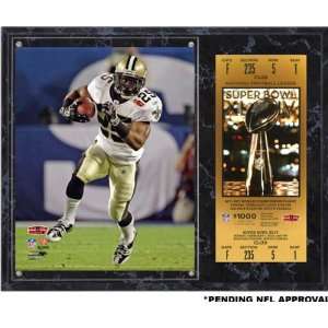   New Orleans Saints 12x15 Super Bowl XLIV Plaque with Replica Ticket