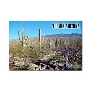  Tucson Arizona Saguaro Cactus Fridge Magnet Everything 