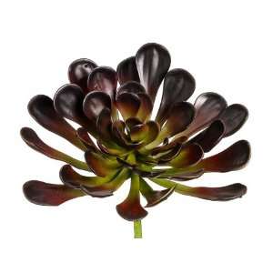  Faux 8.5 Aeonium Plant Burgundy Green (Pack of 6) Patio 