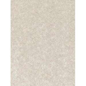   Wallpaper Patton Wallcovering Focal Point 7993157