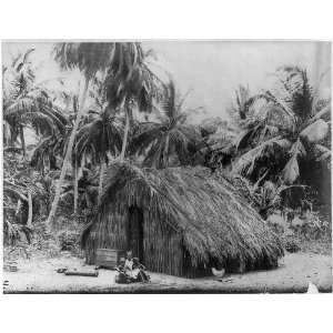  San Juan,Puerto Rico,vicinity,1901 1903,grass hut