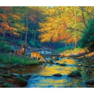    Quiet Encounter 550pc Jigsaw Puzzle by Mark Keathley Toys & Games