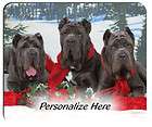 neopolitan mastiff  