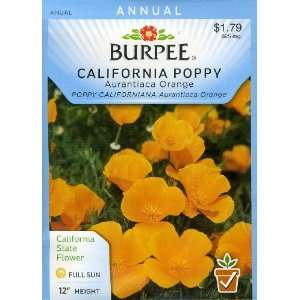  Burpee 35346 Poppy, California Aurantiaca Orange Seed 