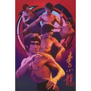  Bruce Lee Collage of Moves    Print