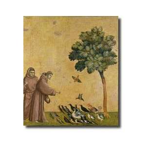  St Francis Of Assisi Preaching To The Birds Giclee Print 