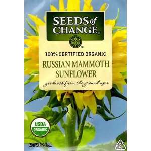  Seeds of Change Organic Russian Mammoth Sunflower Seeds 