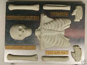 LARGE SKELETON (TOP HALF) CHOCOLATE CANDY MOLD  