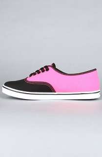 Vans Footwear The Authentic Lo Pro Sneaker in Neon Pink  Karmaloop 