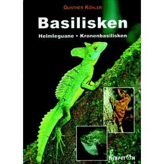 Der Stirnlappenbasilisk Basiliscus plumifrons  Ingo Kober 