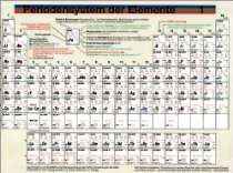 WebElements Chemiebuchgeschäft (Deutschland)   Periodensystem der 