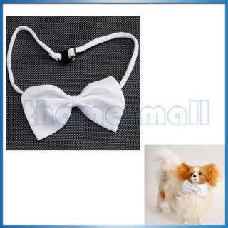   Cat Bowtie Necktie Neck Collar Decor w/ Adjustable Strap Cute Hot