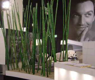 Weitere Informationen rund um den Rohstoff Bambus und der 