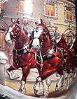   Holiday At The Capitol Collector Beer Stein With Clydesdales C. 2001