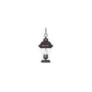  Clarion   3 Light   17   Hanging Lantern   W/ Clear Seed 