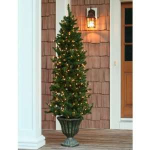   Burke Pine Christmas Tree   Clear Outdoor Lights