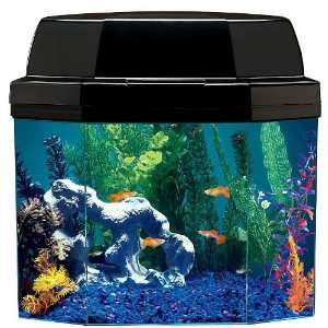  Aquarius AQ15002 Semi hexagon 5 Gallon Aquarium with Hood 