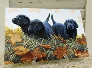 Birthday Greeting Card Black Lab Puppies Hunting Dogs 676944801821 