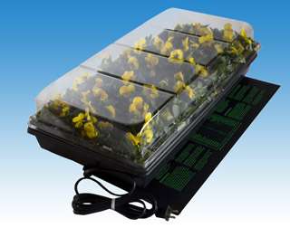 Germination Station w/ Heat Mat, tray, 72 cell pack, 2 dome