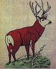 archery deer target  
