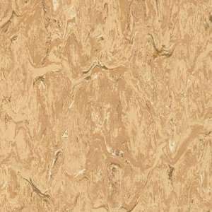  Armstrong Royal Sahara Sand Vinyl Flooring