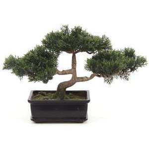  12 Artificial Cedar Bonsai Tree in Acrylic Pot
