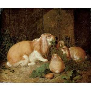   Herring Senior   24 x 20 inches   Lop eared rabbits