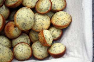 Meyer Lemon Poppyseed Muffins