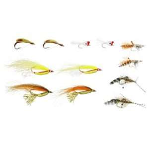  World Wide Sportsman Discovery Redfish and Trout Fly 