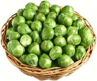 100   BRUSSEL SPROUTS LONG ISLAND IMPROVED   Green sprouts 1 1/2 