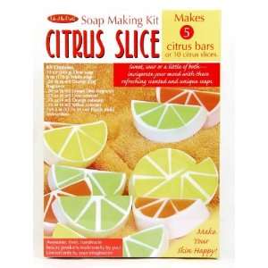  Citrus Slice Soap Making Kit Toys & Games